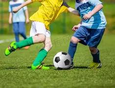 湖人客场险,胜灰狼,里夫斯压哨,大发彩票,互动竞猜平台,大发娱乐,预测挑战,大发彩票APP下载