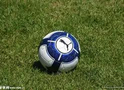 山东黄金集,团开展,年权属企业,大发彩票,互动竞猜平台,大发娱乐,预测挑战,大发彩票APP下载