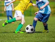 双色球秘籍,红球大师独,家精选,大发彩票,互动竞猜平台,大发娱乐,预测挑战,大发彩票APP下载