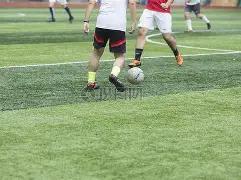 梦寻彩韵,双色球蛇年,惊爆第,大发彩票,互动竞猜平台,大发娱乐,预测挑战,大发彩票APP下载