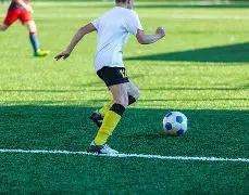 胆王秘籍,大乐透,期生肖彩金,大发彩票,互动竞猜平台,大发娱乐,预测挑战,大发彩票APP下载