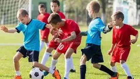 化州新地标启幕：投资8亿打造奥体文化中心，12000座体育馆落户罗江新区