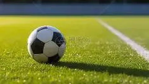 白金石荣获儋州国际象棋特级大师争霸赛冠军