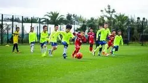 【双色球秘籍大公开】第2025141期狂揽12红2蓝神预测，揭秘千锤百炼的精选号码！