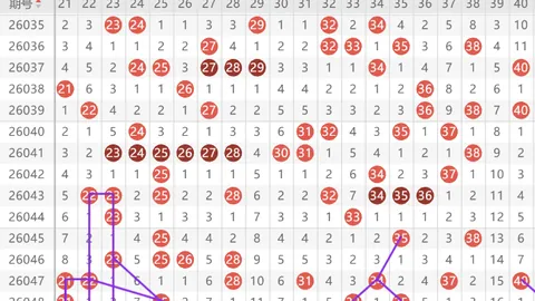 福彩3D第2026056期专家质合分析推荐胆码