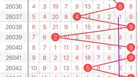 体彩排列三058期司马神算专家推荐，质合分析前区十码